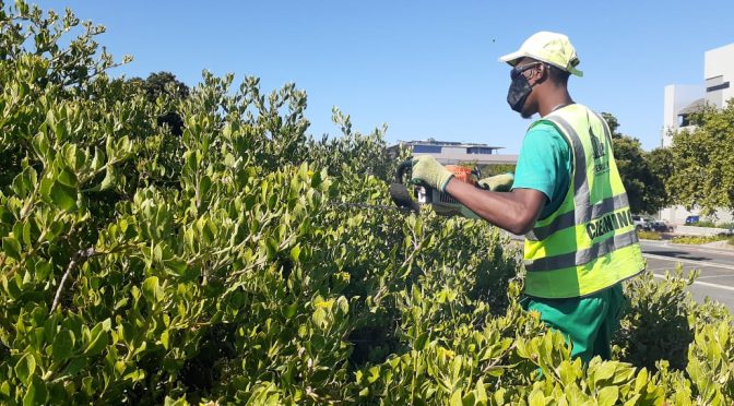 Blown Away – How we are preparing to weather the Cape of Storms. 